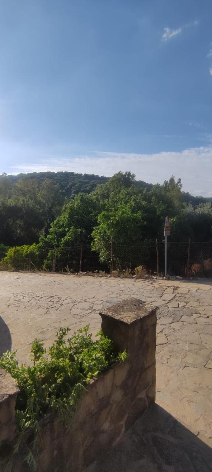 Mi Descanso El Bosque Exterior foto